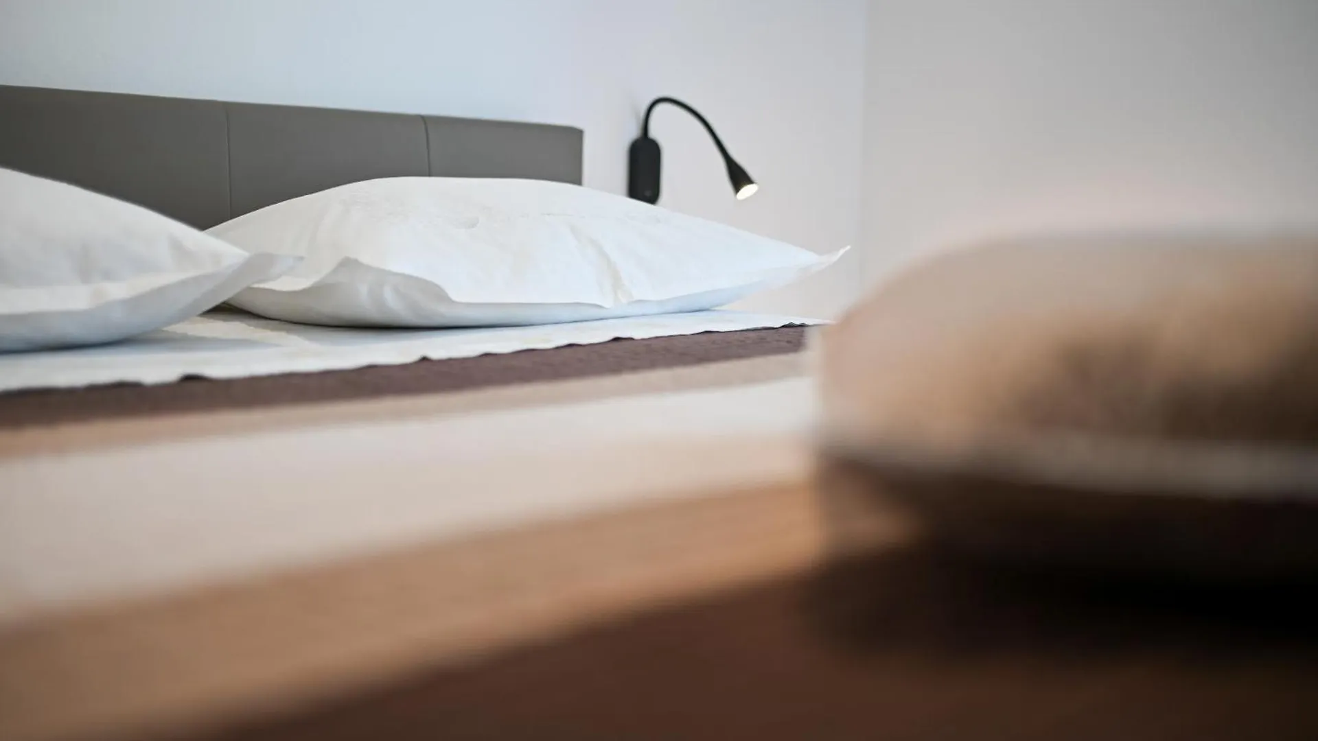 Apartment Bazdaric Novigrad